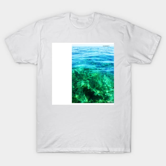 honduras reef trap by camera in crystal water T-Shirt by jorge_lebeau